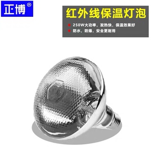 食物保温灯泡 250w保温灯泡 保温灯灯泡 红外线灯泡