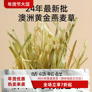 白菜麻麻进口澳麦黄金燕麦绿澳麦草一番一压兔子豚鼠龙猫500克