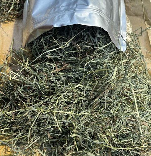 白菜麻麻 加提二番多叶加拿大提摩西精选略短兔子龙猫荷兰猪1斤装
