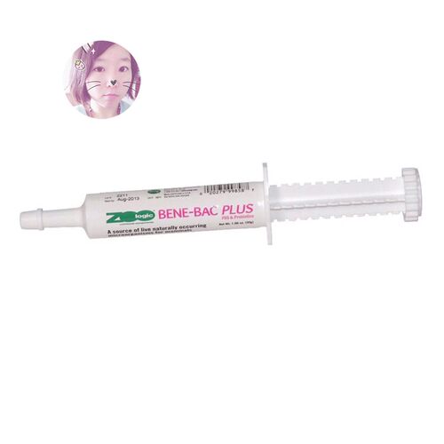 白菜麻麻 现货美国帮你壮益生菌30克 原装进口 保质期兔子龙猫狗