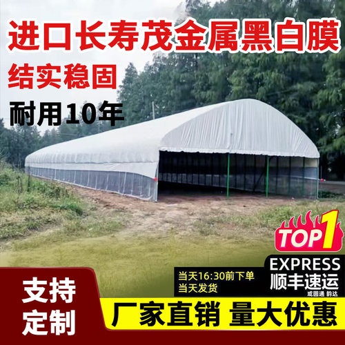 进口加厚黑白膜养殖隔热降温棚膜