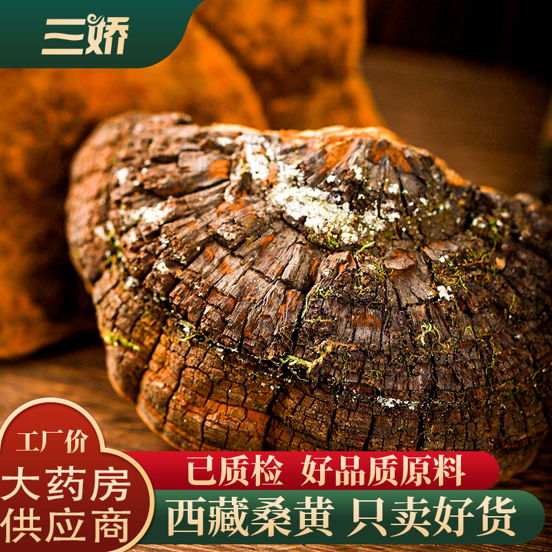 桑黄大块新货泡酒煲汤