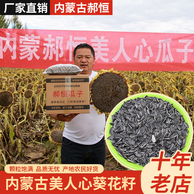 内蒙美人心葵花籽生瓜子原味薄皮精品特大油葵子毛磕小瓜子26年新