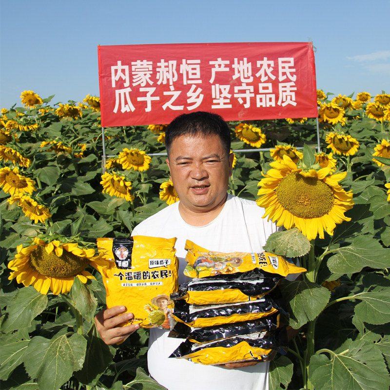 内蒙手工现炒原味熟葵花籽363熟瓜子大颗粒薄皮精品瓜子26年新货