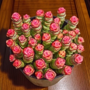 红心钱串锦多肉植物钱多多好养易爆盆宿舍室内阳台迷你拼盘小盆栽