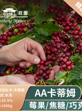 高晟庄园 AA阿拉比卡 云南咖啡生豆1000g水洗卡蒂姆手冲富油脂