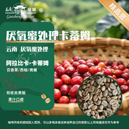 蜜处理SOE厌氧阿拉比卡咖啡生豆