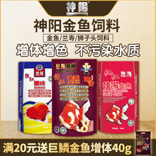 神阳金鱼玉鲭兰寿狮子头专用饲料鱼粮强增色泰狮高蛋白鱼食小颗粒