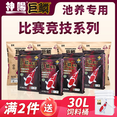 鱼食神阳巨鳞锦鲤饲料比赛育成