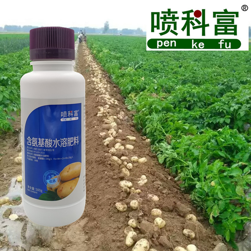 喷科富洋芋马铃薯土豆专用叶面肥营养液农用肥料正品包邮500克图片