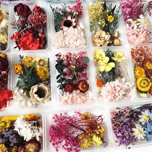 永生花干花材料包diy贴画花艺