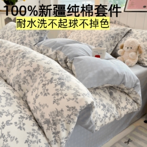 四季A类母婴级纯棉卡通四件套