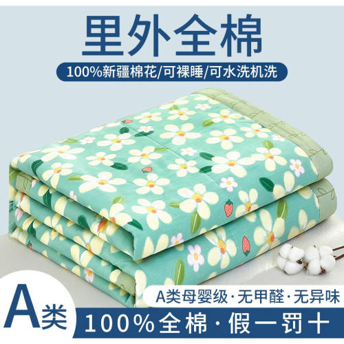 A类100%全棉新疆棉花夏凉被可机洗单人空调被夏季双人薄被子