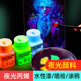海特夜光颜料荧光颜料防水夜光漆发光涂料手绘DIY丙烯颜料荧光剂