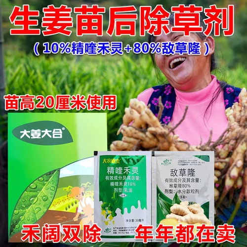 生姜地除草剂敌草隆精喹禾灵仔姜黄大姜田苗后除草药禾阔双除农药