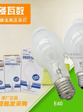 佛山照明自镇流荧光高压汞灯e27螺口节能灯泡e40水银灯250w450w