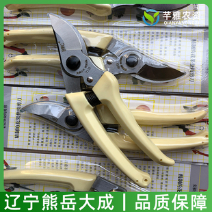 辽宁熊岳修枝剪剪刀省力花木修树枝剪花枝修花园艺果树树剪子正品