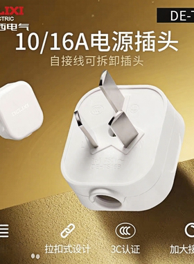 德力西插头10A三脚三角扁插头家用正品电源接线插头2500瓦