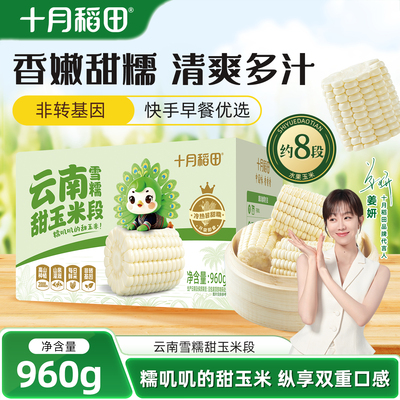 十月稻田云南雪糯甜玉米段