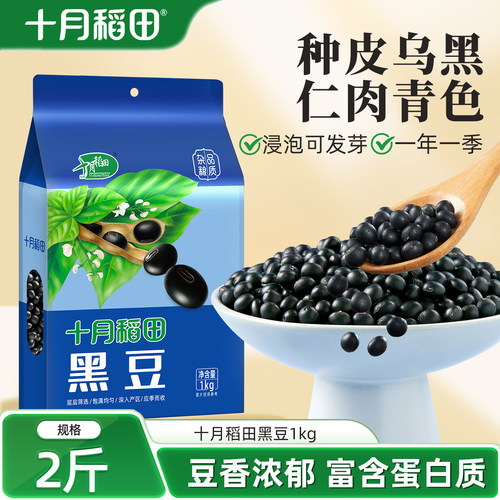 十月稻田东北黑豆1kg绿心青仁