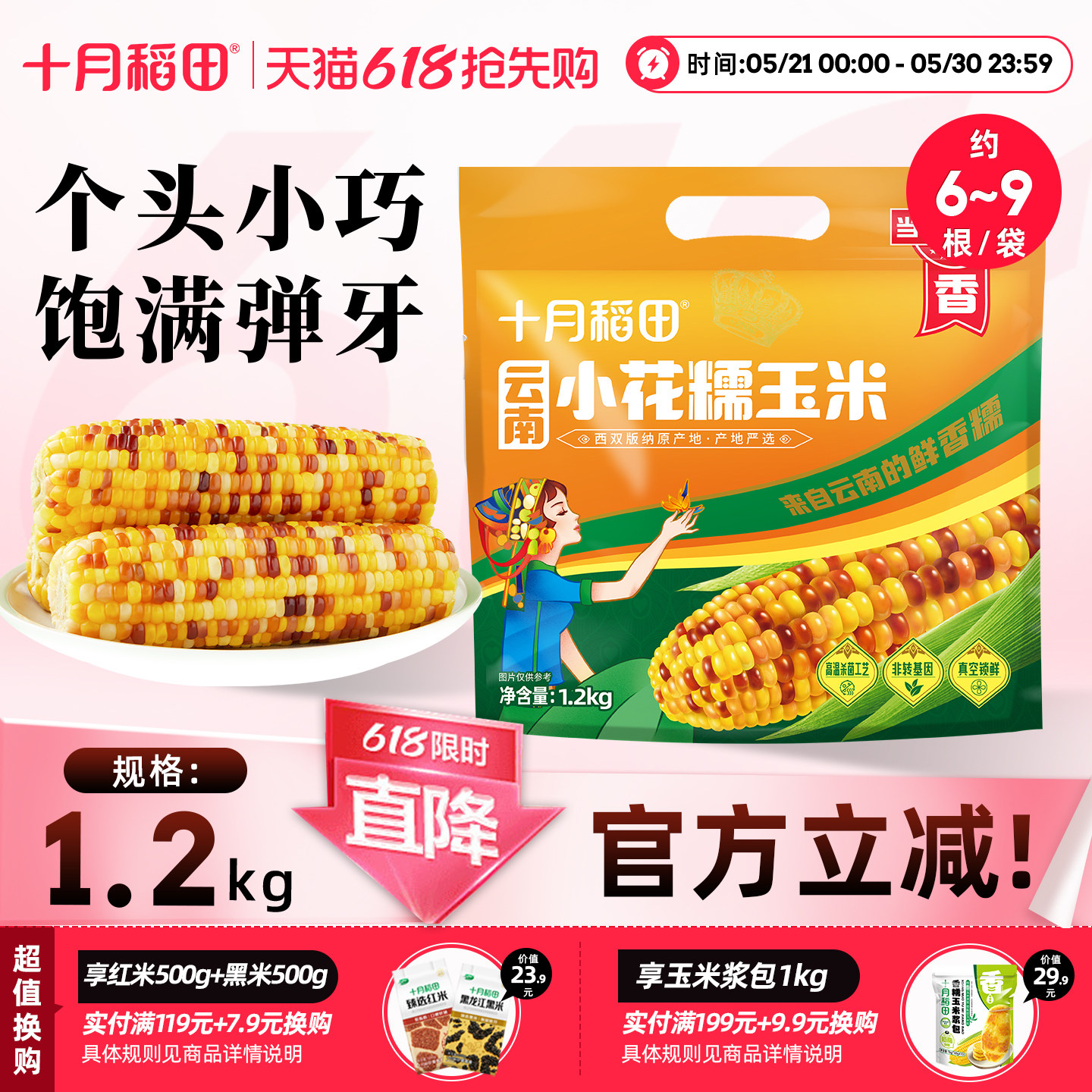十月稻田云南小花糯玉米
