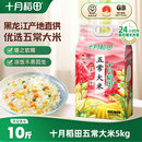 2025新米十月稻田寒露秋香五常大米5kg东北大米优质一等香米官方