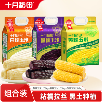 25年新玉米十月稻田黄糯黑糯玉米