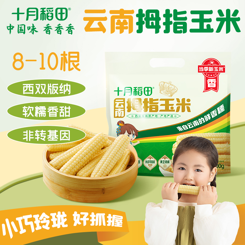 十月稻田云南拇指玉米