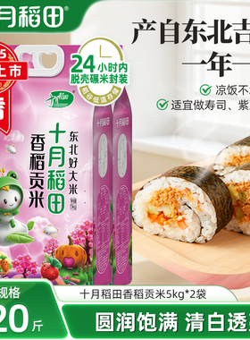 25年新米十月稻田香稻贡米5kg*2袋东北香粳米大米20斤家用真空装