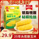 25年新玉米十月稻田黄糯玉米棒东北新鲜低脂软糯早餐 交个朋友