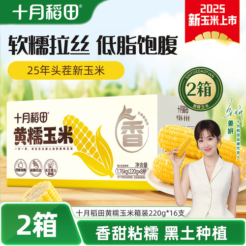 十月稻田黄糯玉米箱装2箱
