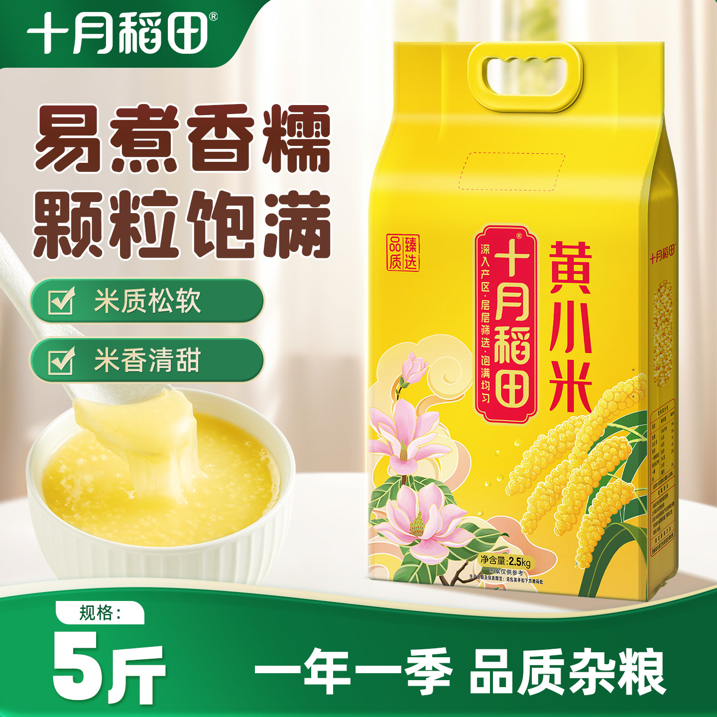 十月稻田黄小米米香浓郁图片