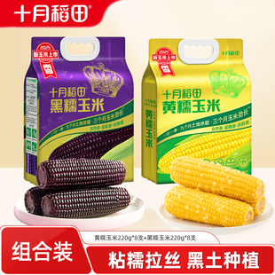25年新玉米十月稻田黄糯玉米黑糯玉米2袋东北新鲜低脂香甜拉丝