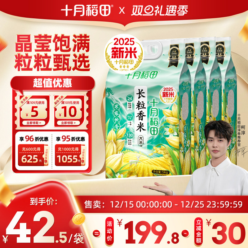 2025新米十月稻田长粒香米共40斤