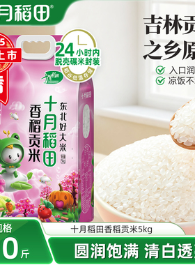 25年新米十月稻田大米香稻贡米5kg东北大米饭团寿司用米10斤官方