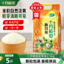 2025新米十月稻田大米胚芽米2.5kg东北香米饭真空装 5斤官方旗舰店
