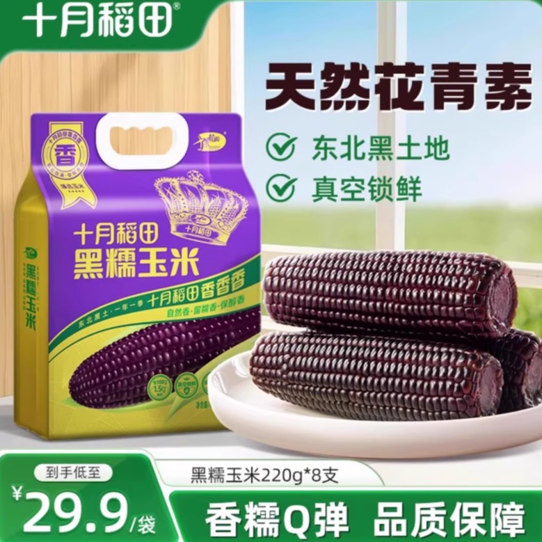 十月稻田黑糯玉米8根东北苞谷软糯甘甜大棒含花青素清香真空官方