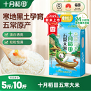 2025新米十月稻田五常大米5kg 2.5kg东北大米优质一等官方旗舰店