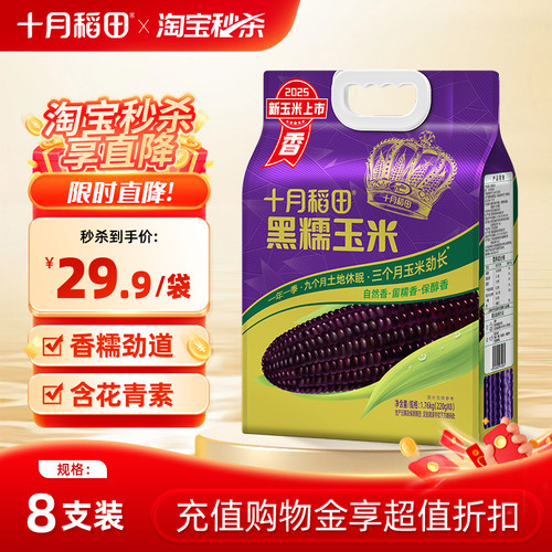 十月稻田黑糯玉米8根装