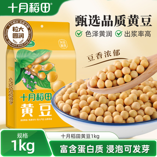十月稻田东北黄豆1kg大豆可生豆芽可打豆浆粗粮杂粮2斤真空装