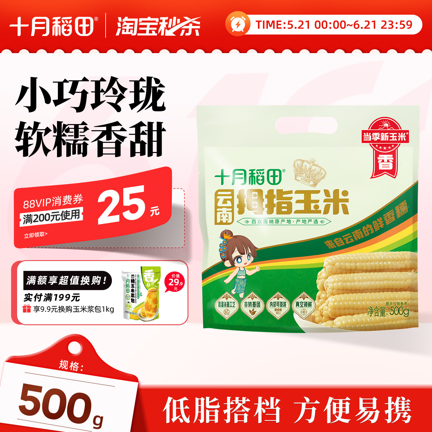 十月稻田云南拇指玉米