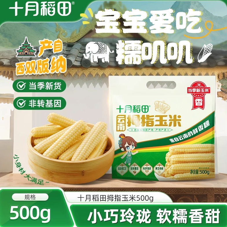 十月稻田云南拇指玉米