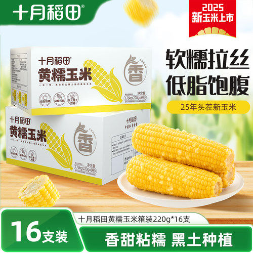 十月稻田黄糯玉米箱装2箱