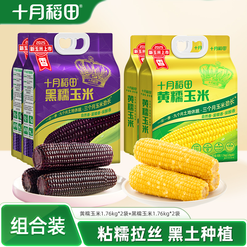 25年新玉米十月稻田黄糯黑糯玉米
