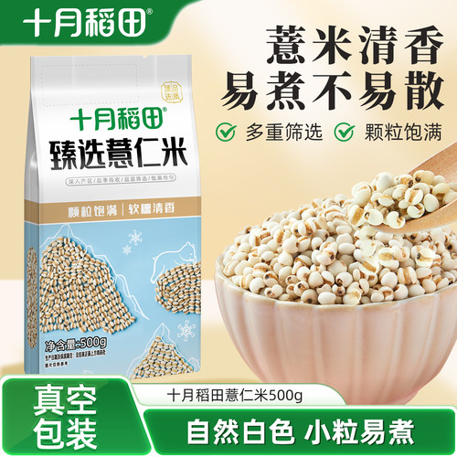 十月稻田薏仁米粗粮五谷杂粮