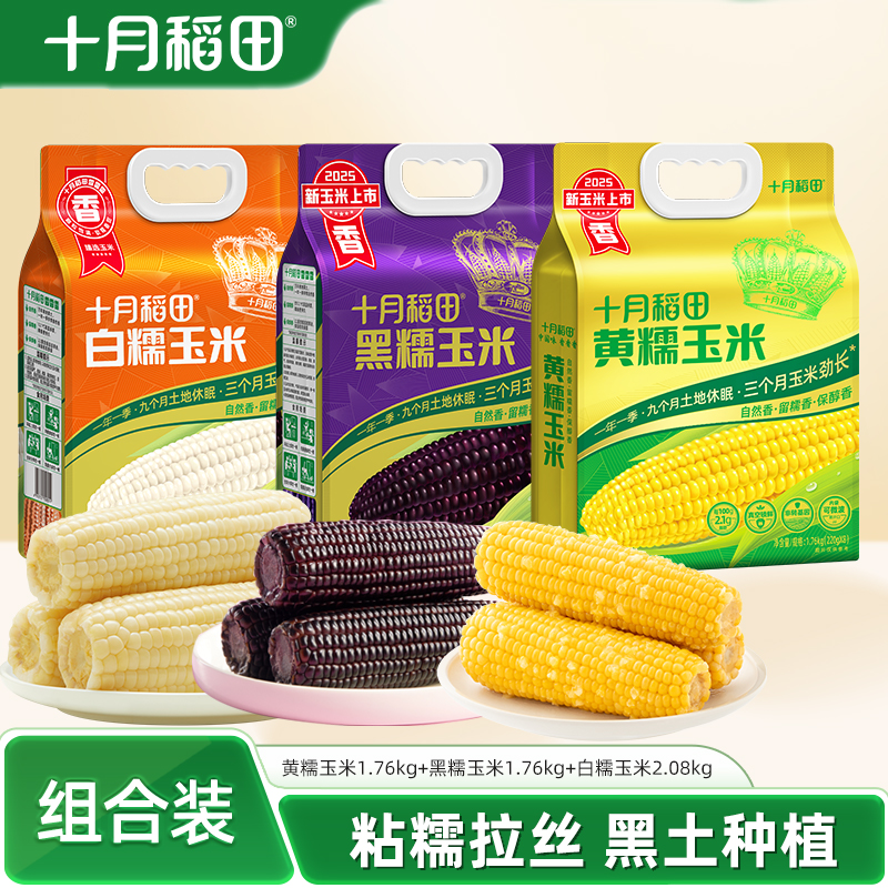 25年新玉米十月稻田黄糯黑糯玉米