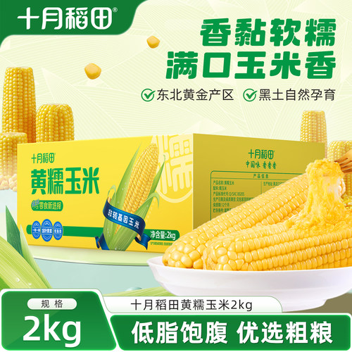 十月稻田爆款黄糯玉米