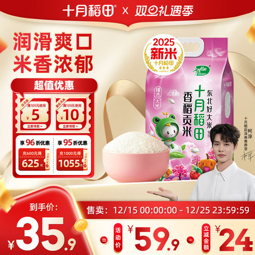 25年新米十月稻田香稻贡米5kg