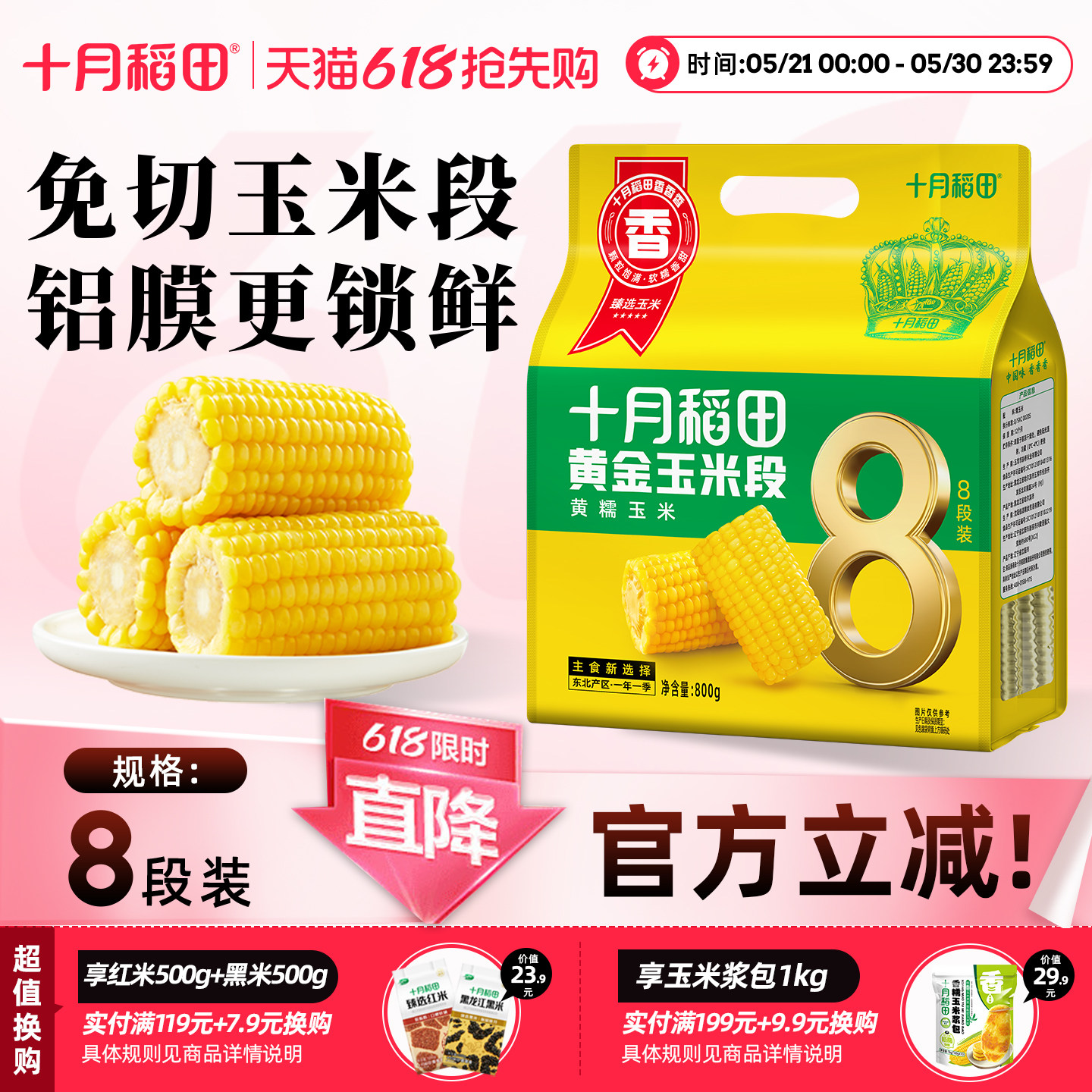 十月稻田黄糯玉米段东北苞谷