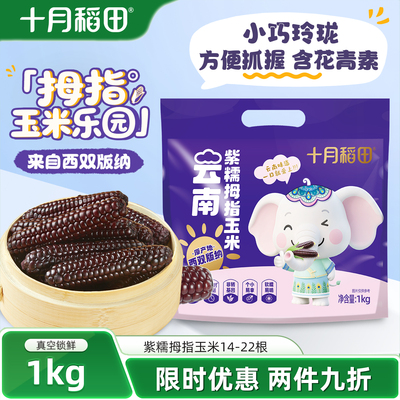 十月稻田云南紫糯拇指玉米1kg